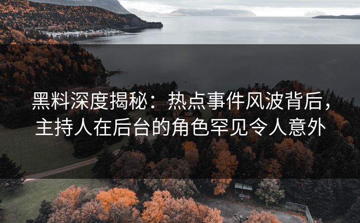 黑料深度揭秘：热点事件风波背后，主持人在后台的角色罕见令人意外