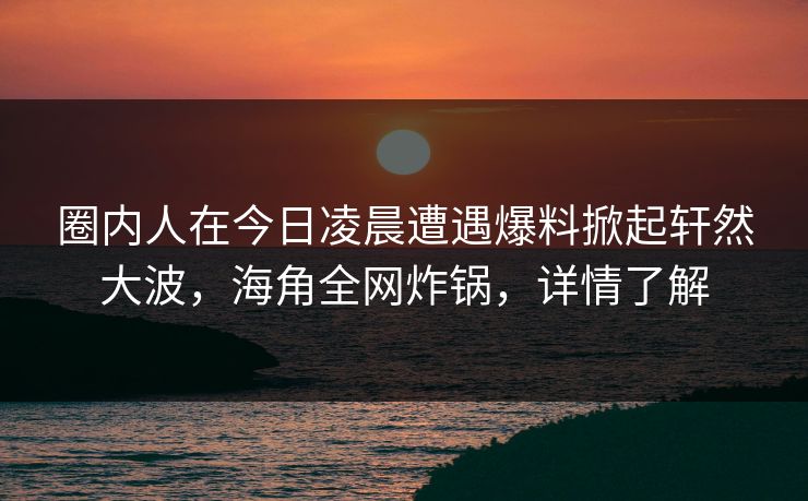圈内人在今日凌晨遭遇爆料掀起轩然大波，海角全网炸锅，详情了解