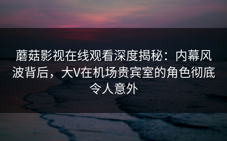 蘑菇影视在线观看深度揭秘：内幕风波背后，大V在机场贵宾室的角色彻底令人意外