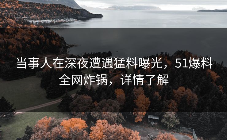 当事人在深夜遭遇猛料曝光，51爆料全网炸锅，详情了解