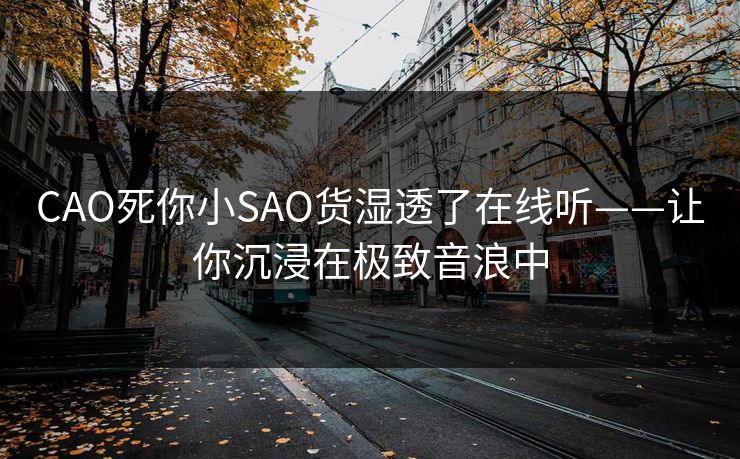 CAO死你小SAO货湿透了在线听——让你沉浸在极致音浪中