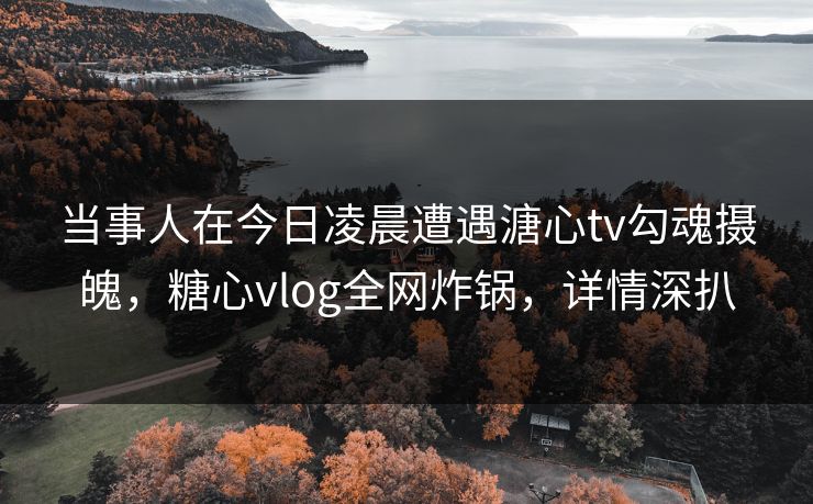 当事人在今日凌晨遭遇溏心tv勾魂摄魄，糖心vlog全网炸锅，详情深扒