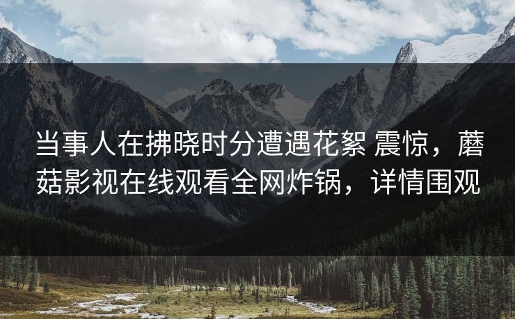 当事人在拂晓时分遭遇花絮 震惊,蘑菇影视在线观看全网炸锅,详情围观